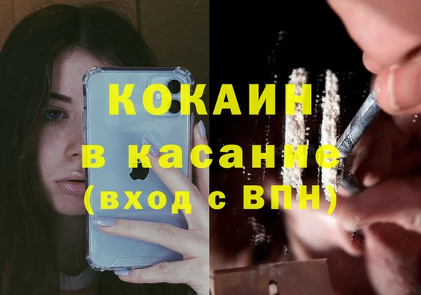 крисы Богородск