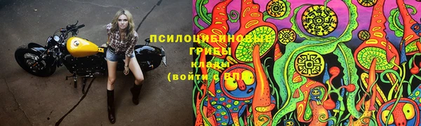 крисы Богородск