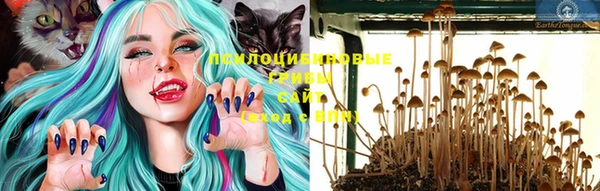 прущая мука Бронницы