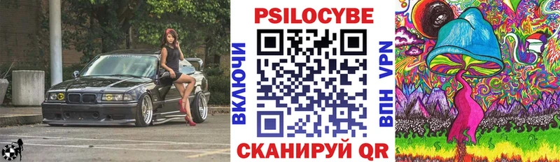 Галлюциногенные грибы прущие грибы  закладка  Михайлов 